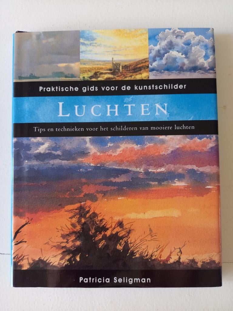 w3 Luchten - Tips en technieken voor kunstschilders, Hobby en Vrije tijd, Schilderen, Ophalen of Verzenden, Zo goed als nieuw