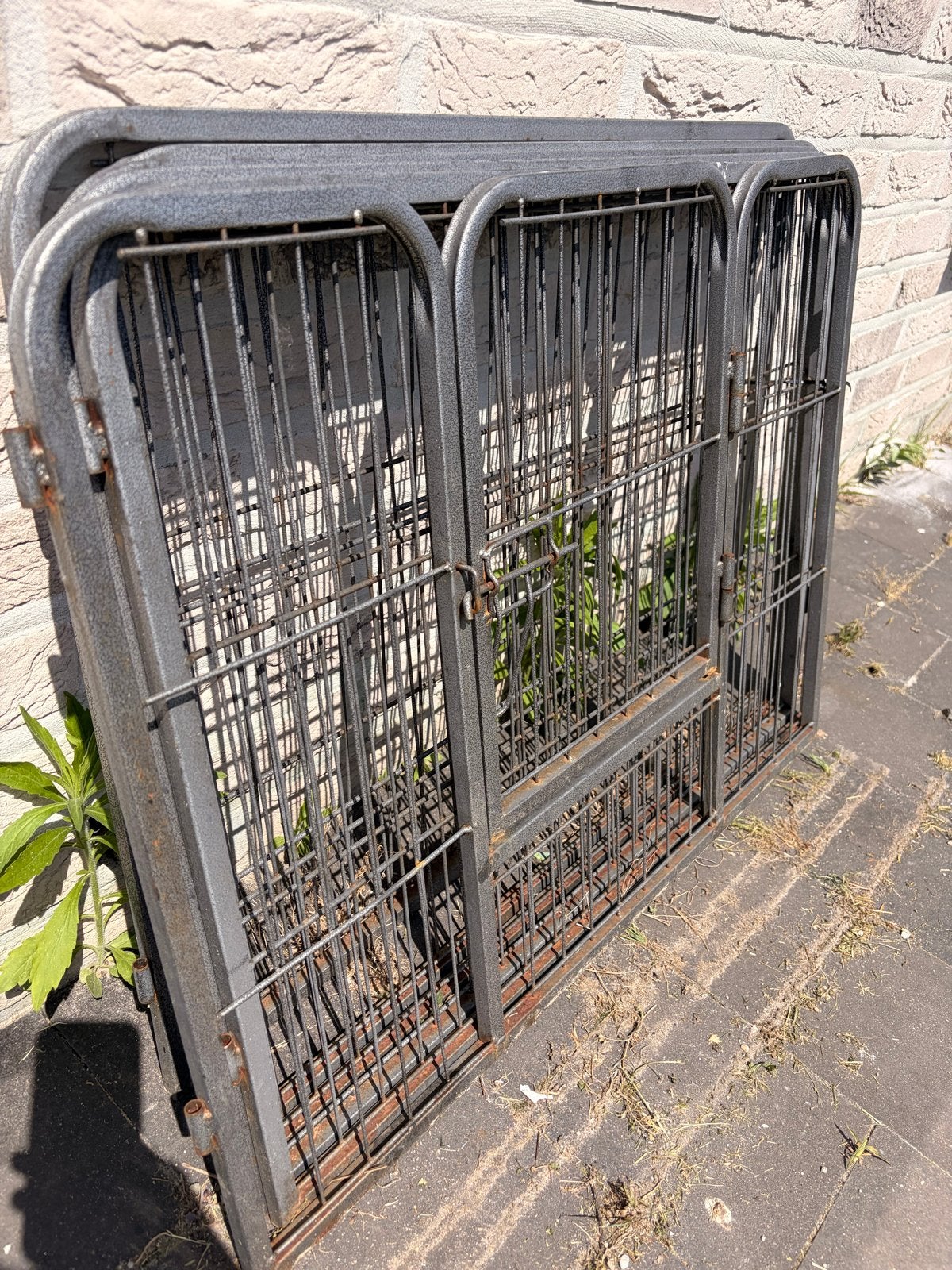 Ren 8 delig, Dieren en Toebehoren, Hondenbenches, Ophalen, Gebruikt