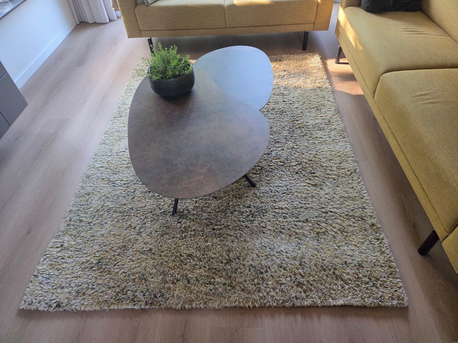 Brinker Salsa Vloerkleed - Groen/Geel/Beige/Creme - 170x230, Ophalen, Shaggy, Modern, Groen, 150 tot 200 cm