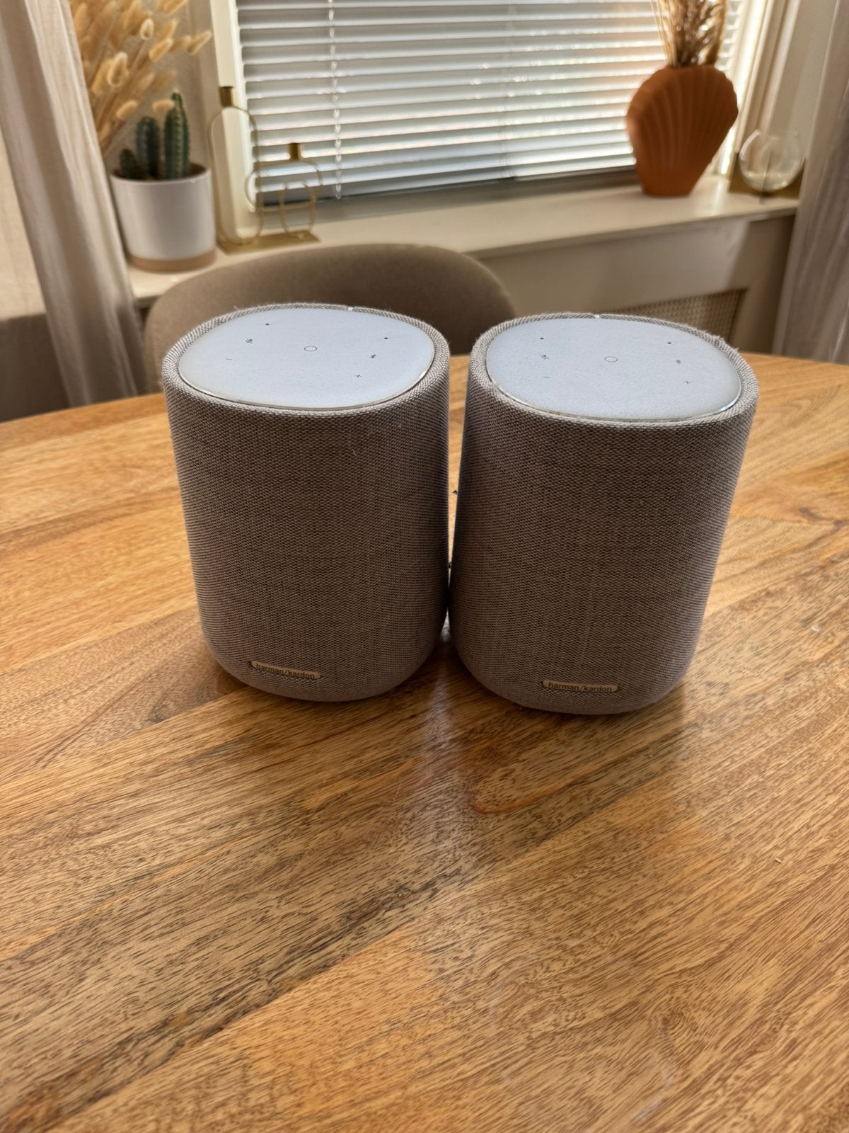 Harman Kardon Citation One speakers 2x grijs, Stereo speakers, Inclusief kabels, Ophalen of Verzenden, Zo goed als nieuw