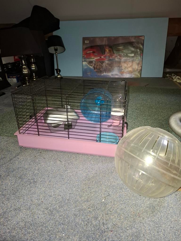 Hamsterkooi, Dieren en Toebehoren, Knaagdieren en Konijnen | Hokken en Kooien, Kooi, Gebruikt, Minder dan 75 cm, Hamster