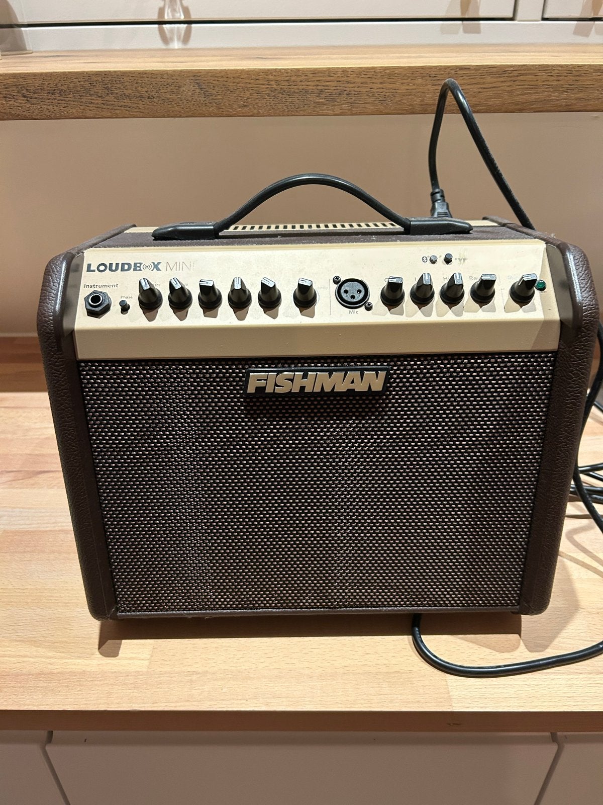 Fishman Loudbox bluetooth Mini Akoestische Gitaarversterker, Ophalen, Zo goed als nieuw, Gitaar, 50 tot 100 watt