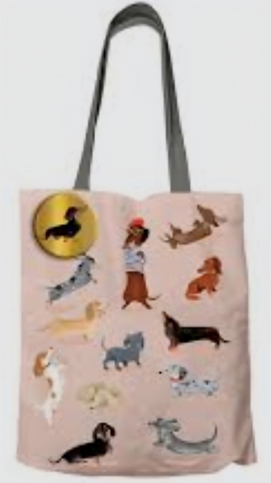 Nieuwe Totobag  met Teckel Print, Ophalen of Verzenden, Nieuw, Beige, Shopper