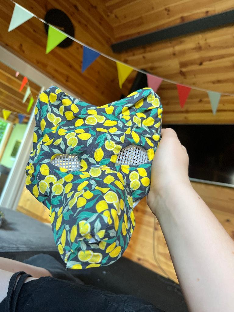 Lemon mask base!, Verzenden, Zo goed als nieuw, Accessoires