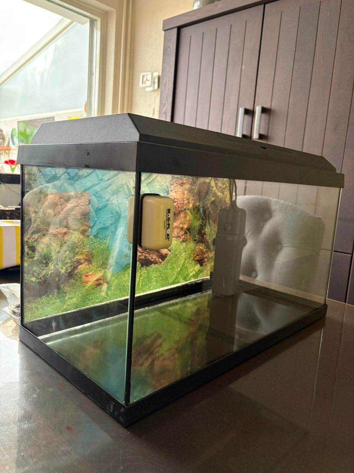 Aquarium juwel 60 liter compleet, Ophalen, Zo goed als nieuw, Leeg aquarium