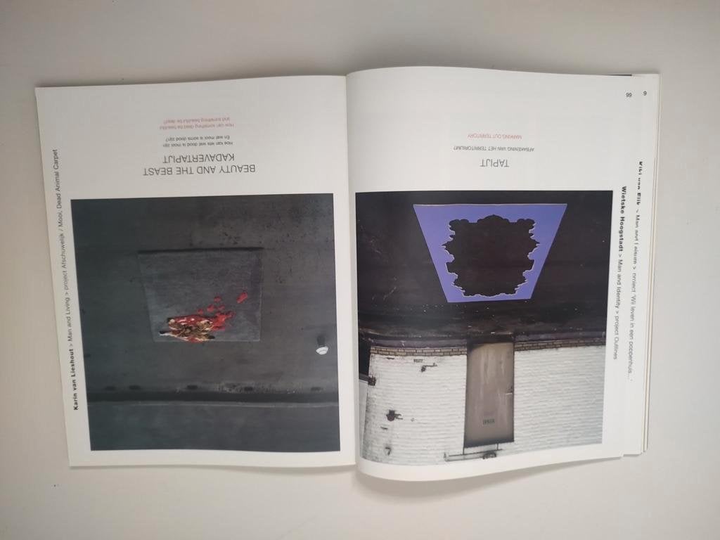 Design Academy Eindhoven graduation 2001, Ophalen of Verzenden, Zo goed als nieuw, Grafische vormgeving
