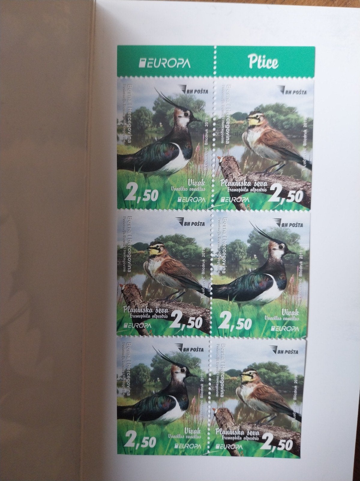 Bosnië Herzegovina boekje vogels 2019 postfris, Ophalen of Verzenden, Dier of Natuur