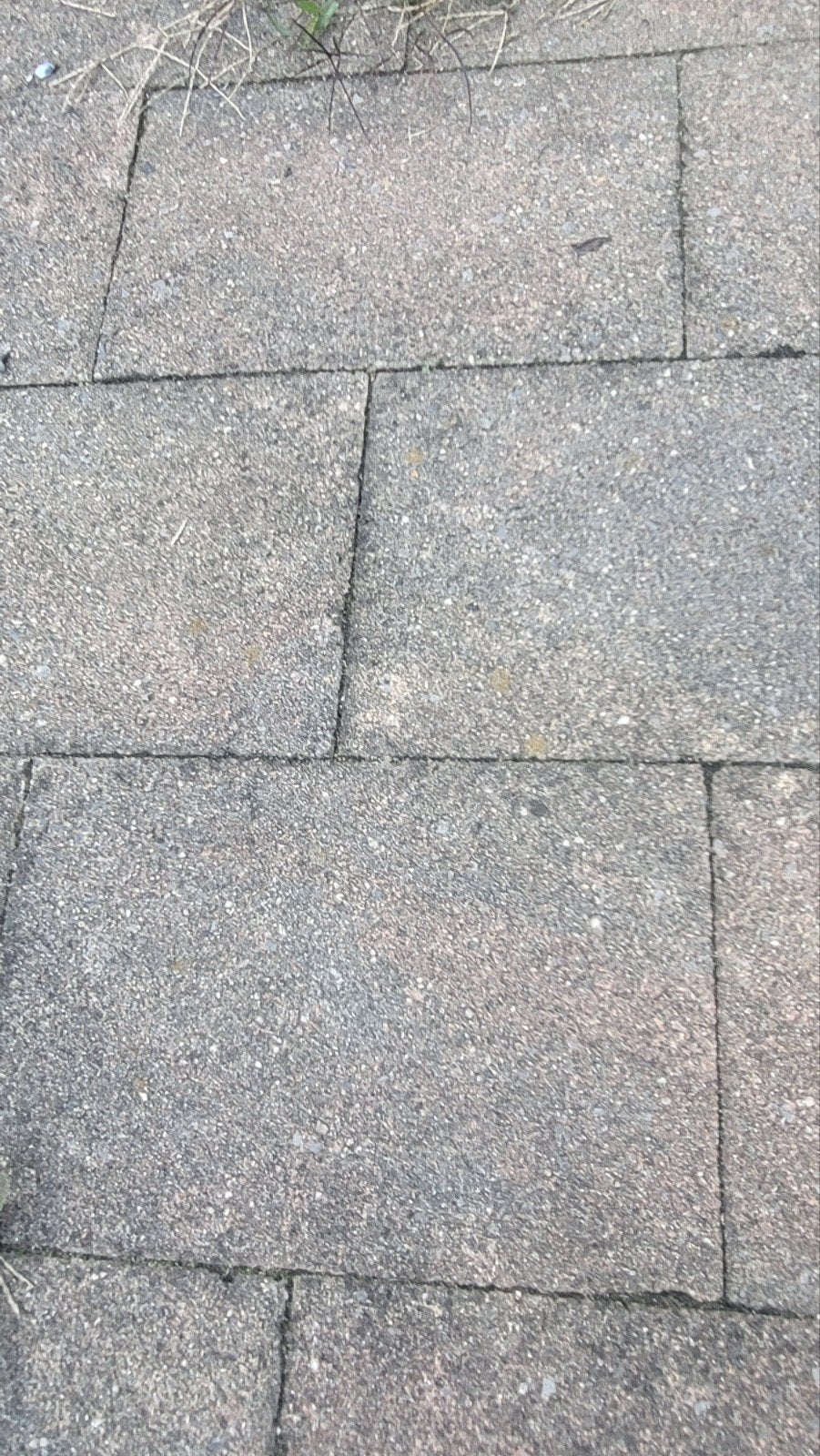 50m2 tuintegels zelf eruit halen 250 euro, Tuin en Terras, Ophalen, Beton, Klinkers