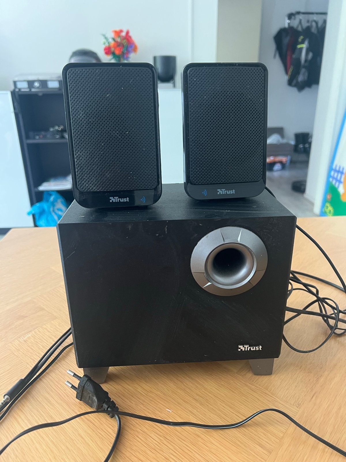 Trust Speakerset met subwoofer - Goede staat, Audio, Tv en Foto, Luidsprekers, Gebruikt, Speakerset, Basreflex, Ophalen