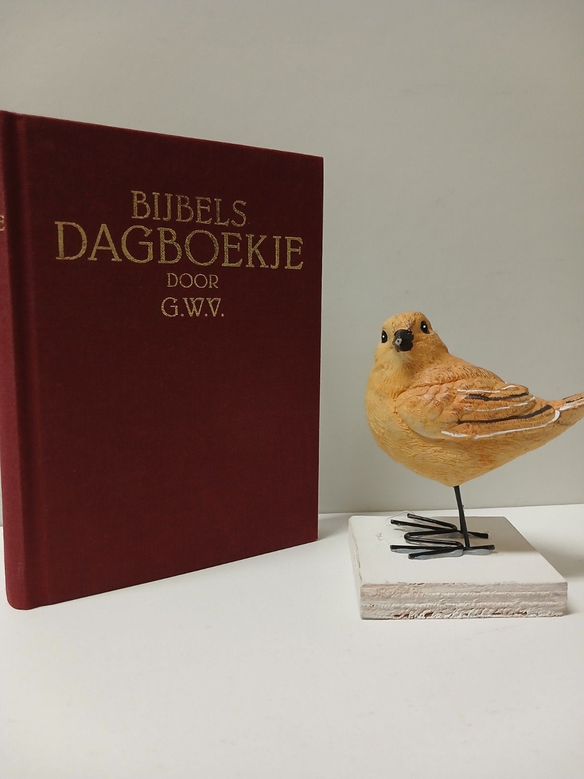 GWV;  Bijbels dagboekje, Boeken, Ophalen of Verzenden, Gelezen, Christendom | Protestants