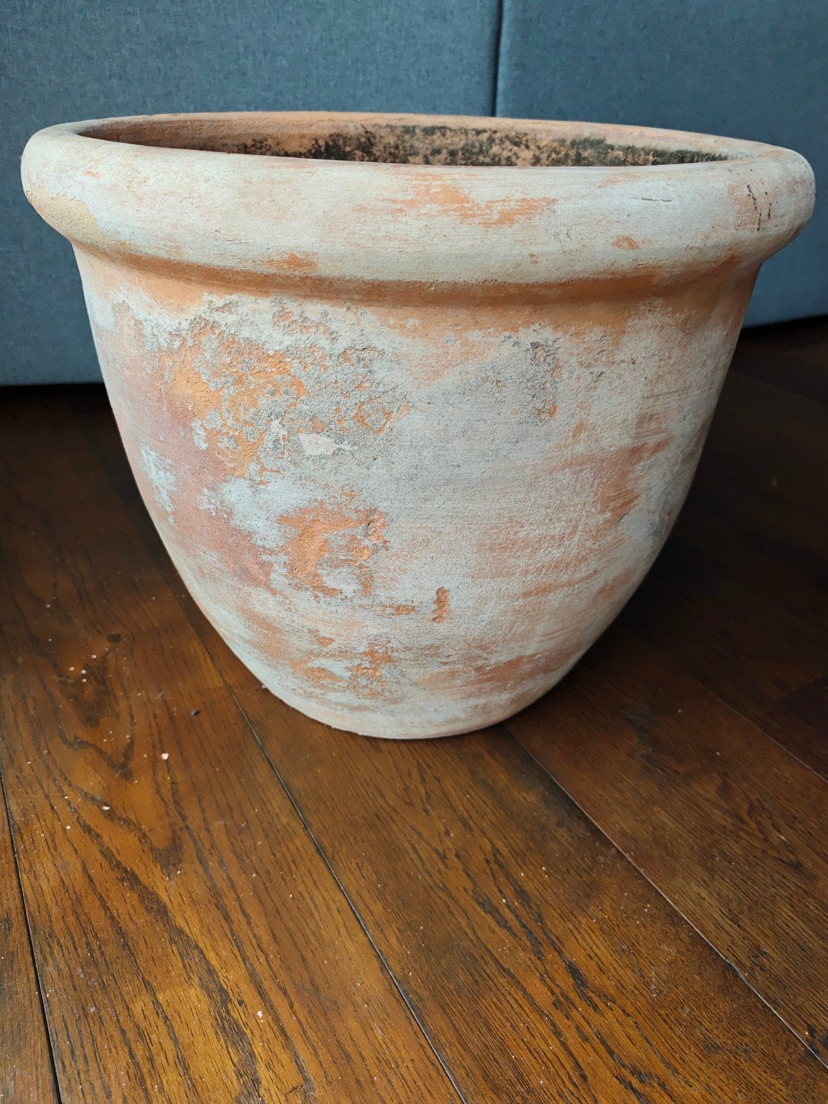 Terracotta bloempot omtrek circa 50cm, 42cm hoog, Gebruikt, 40 cm of meer, Rond, Ophalen of Verzenden