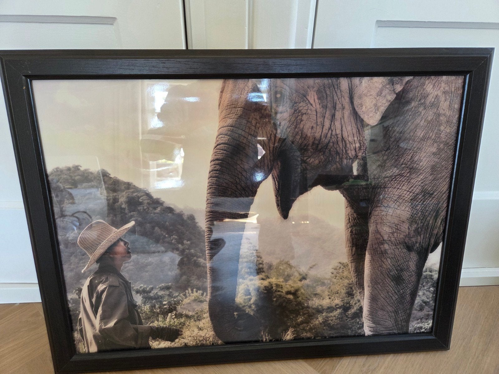 Ingelijste foto van olifant en persoon (78x60 cm), Ophalen, Gebruikt, Foto of Poster, 75 – 100