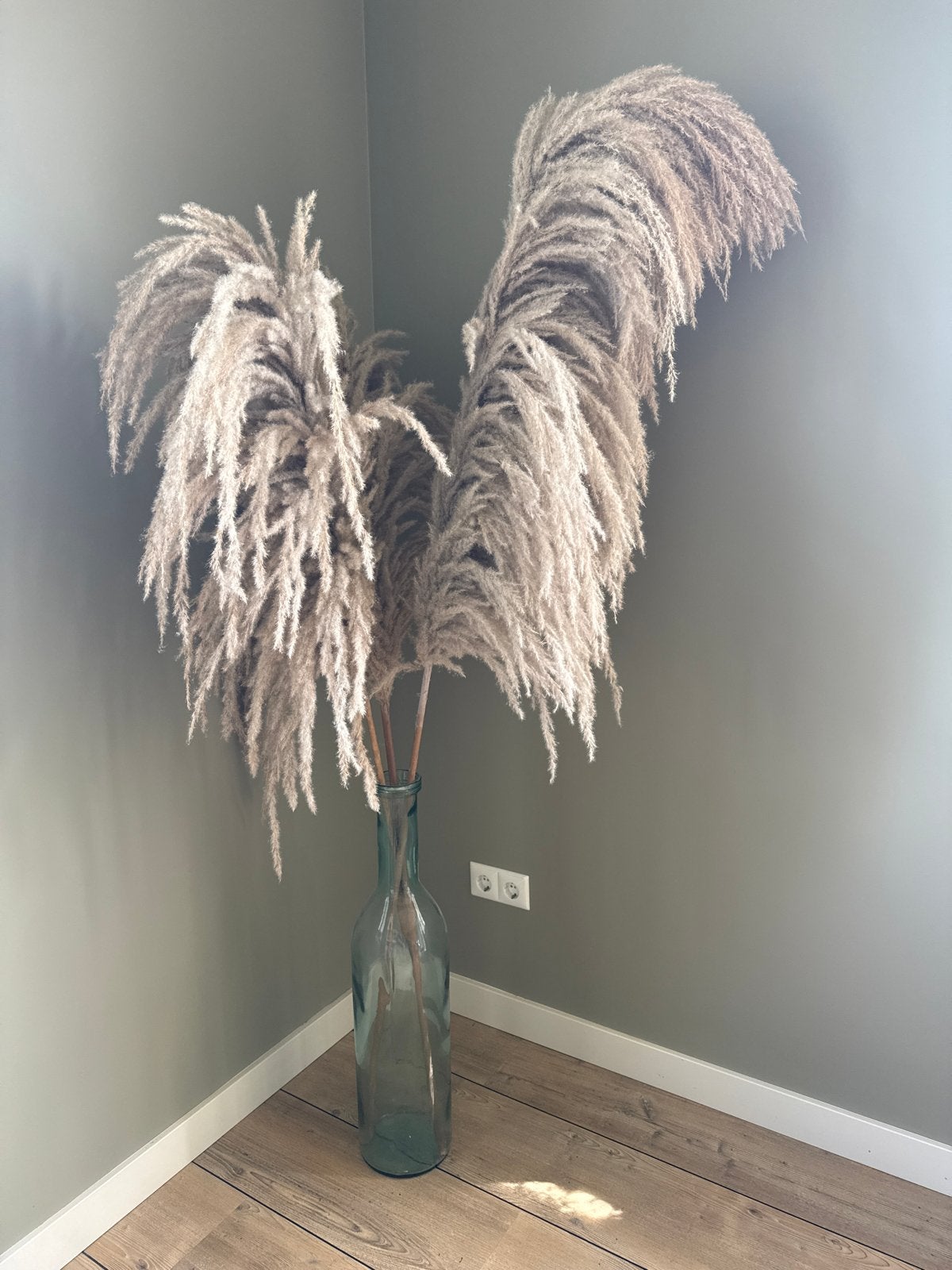 Grote pampas pluimen, Ophalen, Meerkleurig, Gerecycled glas, Glas