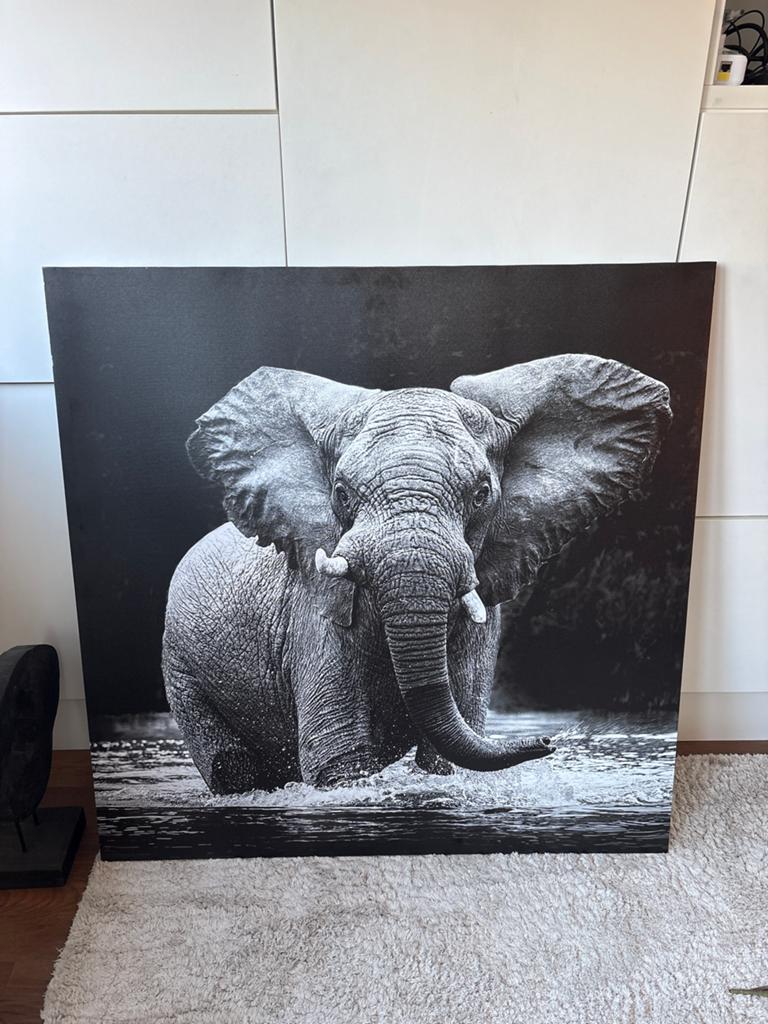 Groot Canvas Schilderij Zwart-Wit Olifant, Ophalen, Zo goed als nieuw, Schilderij, 75 tot 100 cm