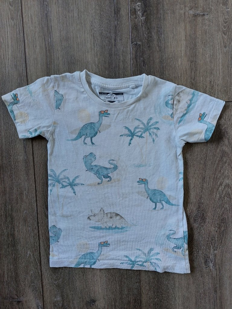 Next 82 Dynosaurus t-shirt jongen, mt 104, Ophalen of Verzenden, Zo goed als nieuw, Jongen, Shirt of Longsleeve
