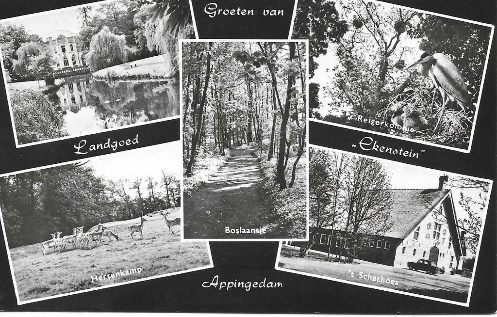 Appingedam- -5-luik, Landgoed Ekenstein., Verzenden, 1960 tot 1980, Gelopen, Groningen