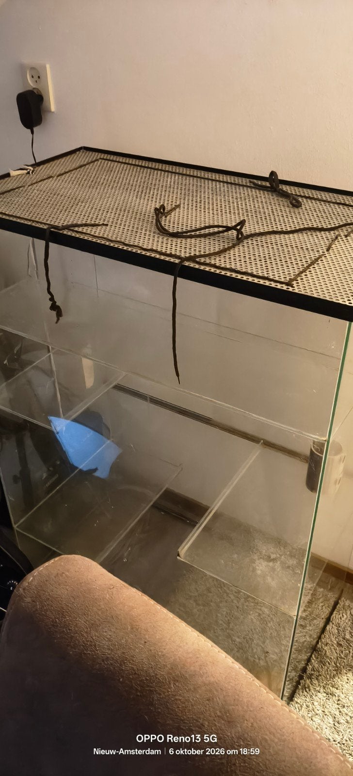 glazen gerbillarium te koop, Ophalen, Zo goed als nieuw