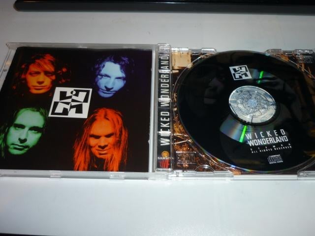 Wicked Wonderland de cd Wicked Wonderland, Verzenden, Zo goed als nieuw, Poprock