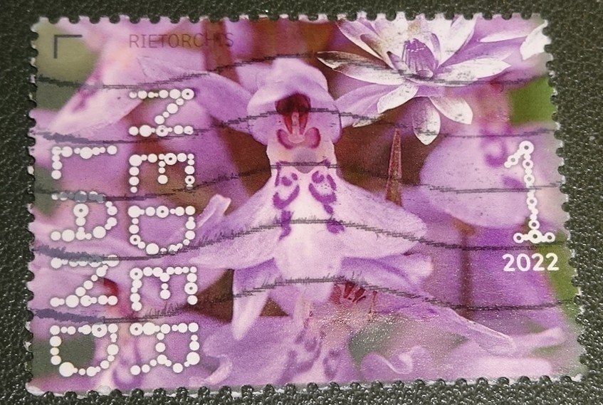 Beleef de Natuur - 4004 - 2022 - Rierorchis - PNe01-07, Postzegels en Munten, Verzenden, Na 1940, Gestempeld