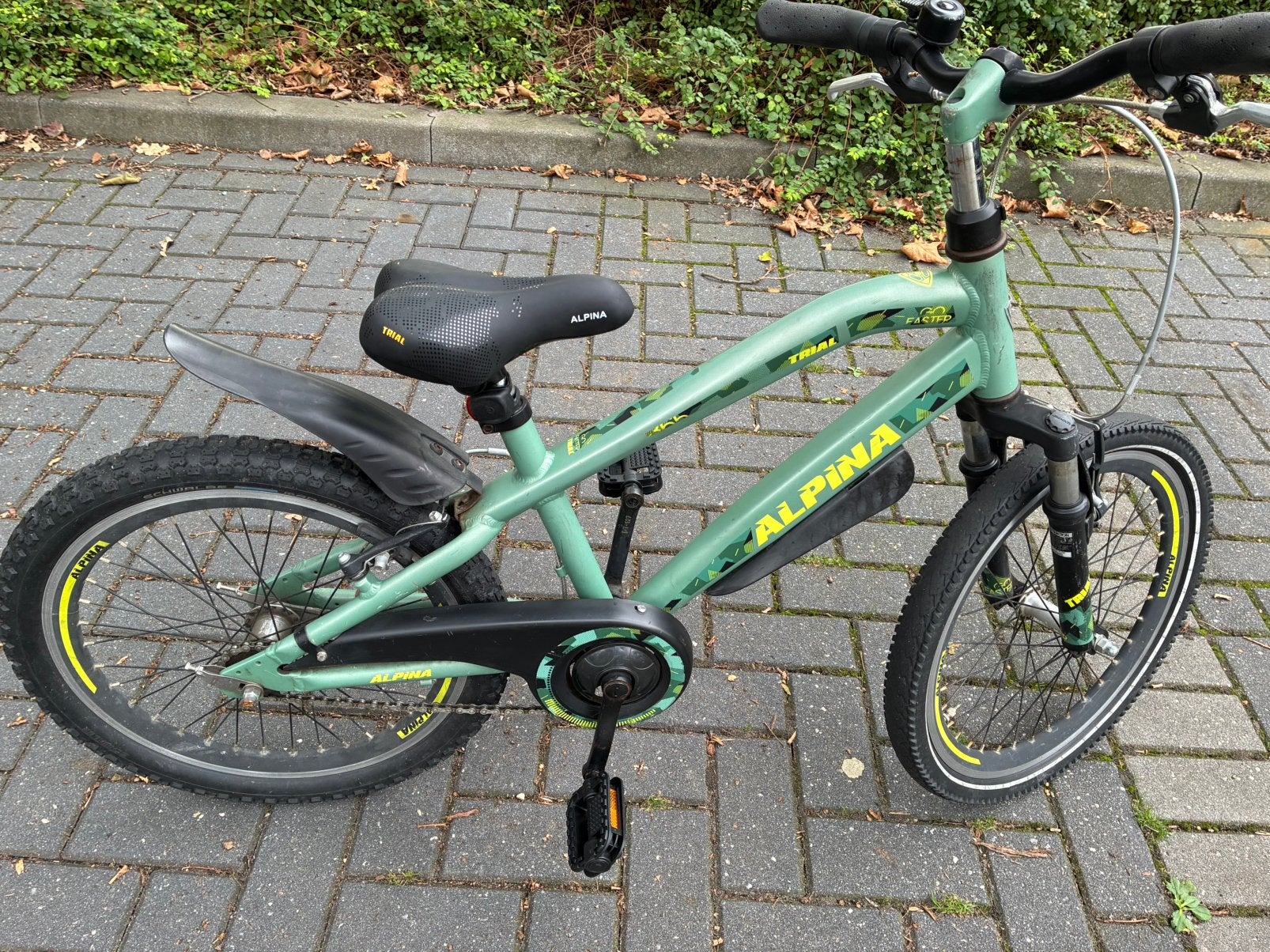 Alpina Trial 20” jongensfiets, Ophalen, Terugtraprem, Gebruikt, Staal