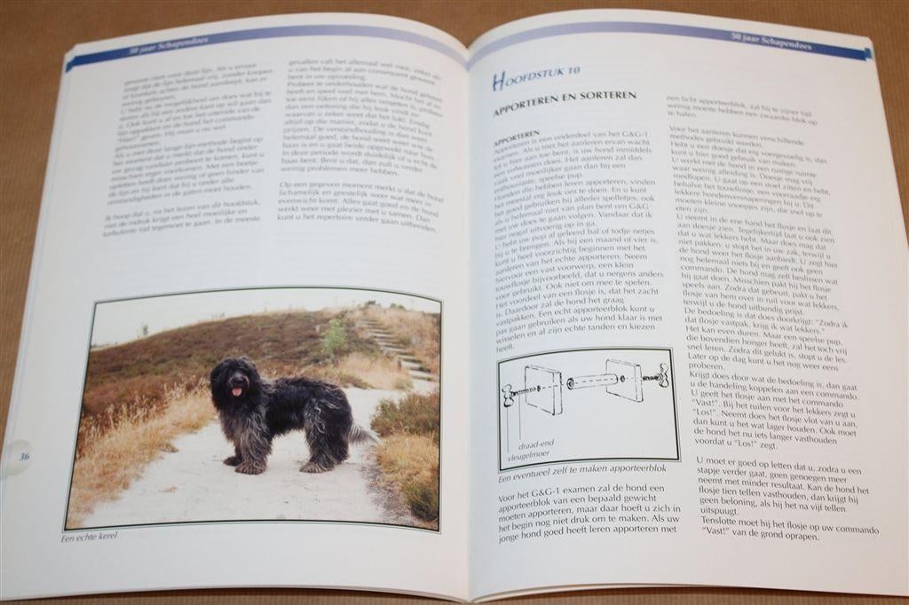 Een Doesje Kijkt U Aan — De Nederlandse Schapendoes, Boeken, Ophalen of Verzenden, Zo goed als nieuw, Honden
