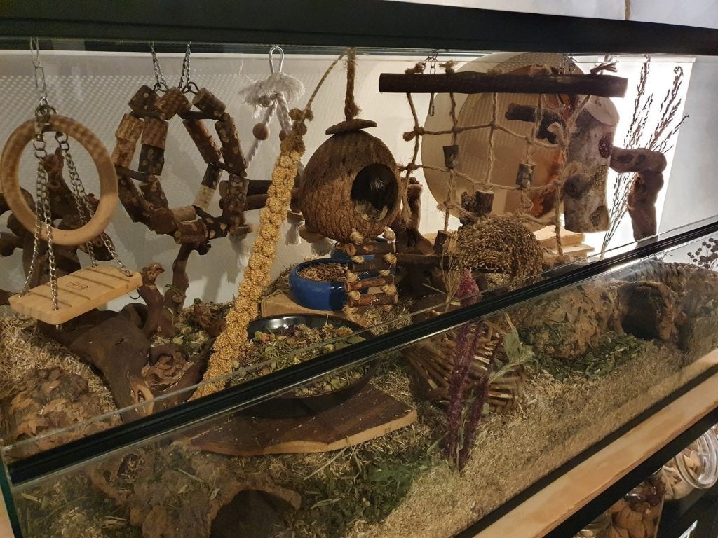 Terrarium met kast en knaagdierspullen, Ophalen, Gebruikt, Overige typen