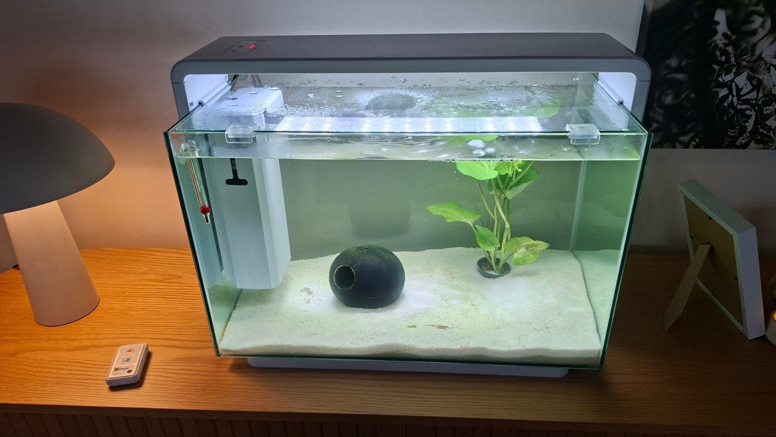 Aquarium leeg met alle toebehoren, Ophalen, Leeg aquarium