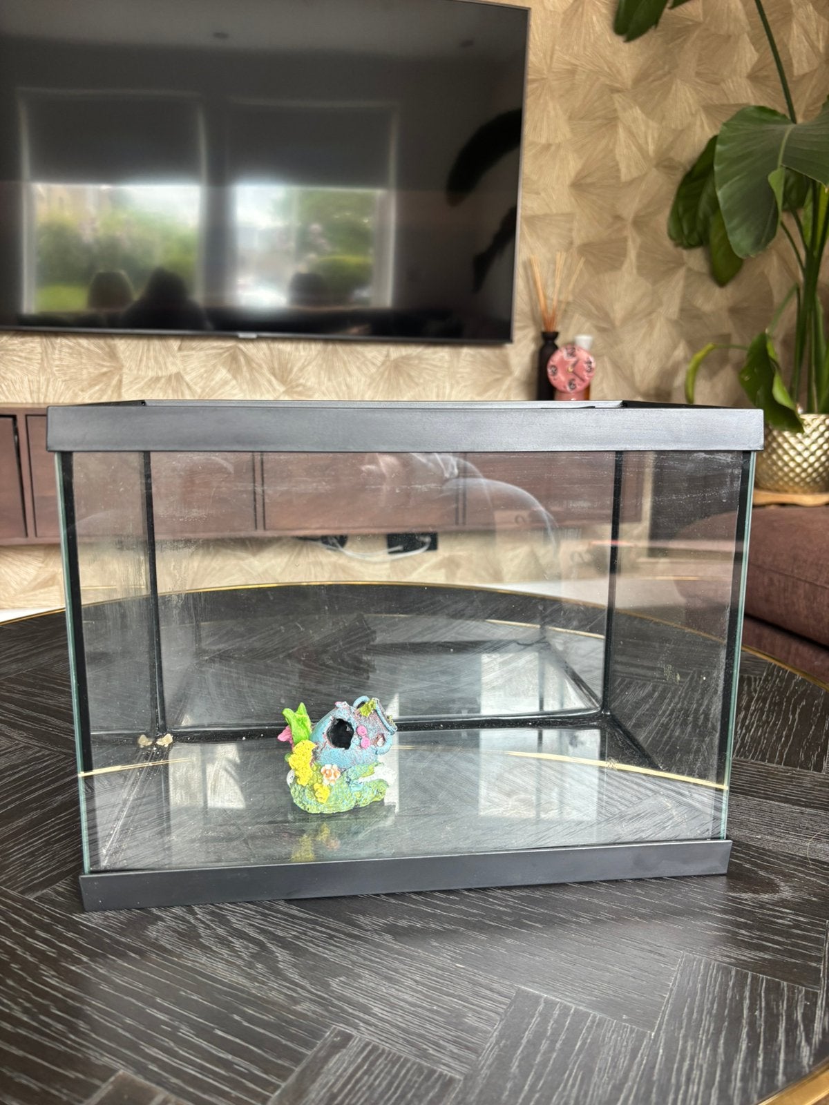 Aquarium 15 liter goede staat incl ornament, Dieren en Toebehoren, Minder dan 75 cm, Zo goed als nieuw, Hok, Ophalen
