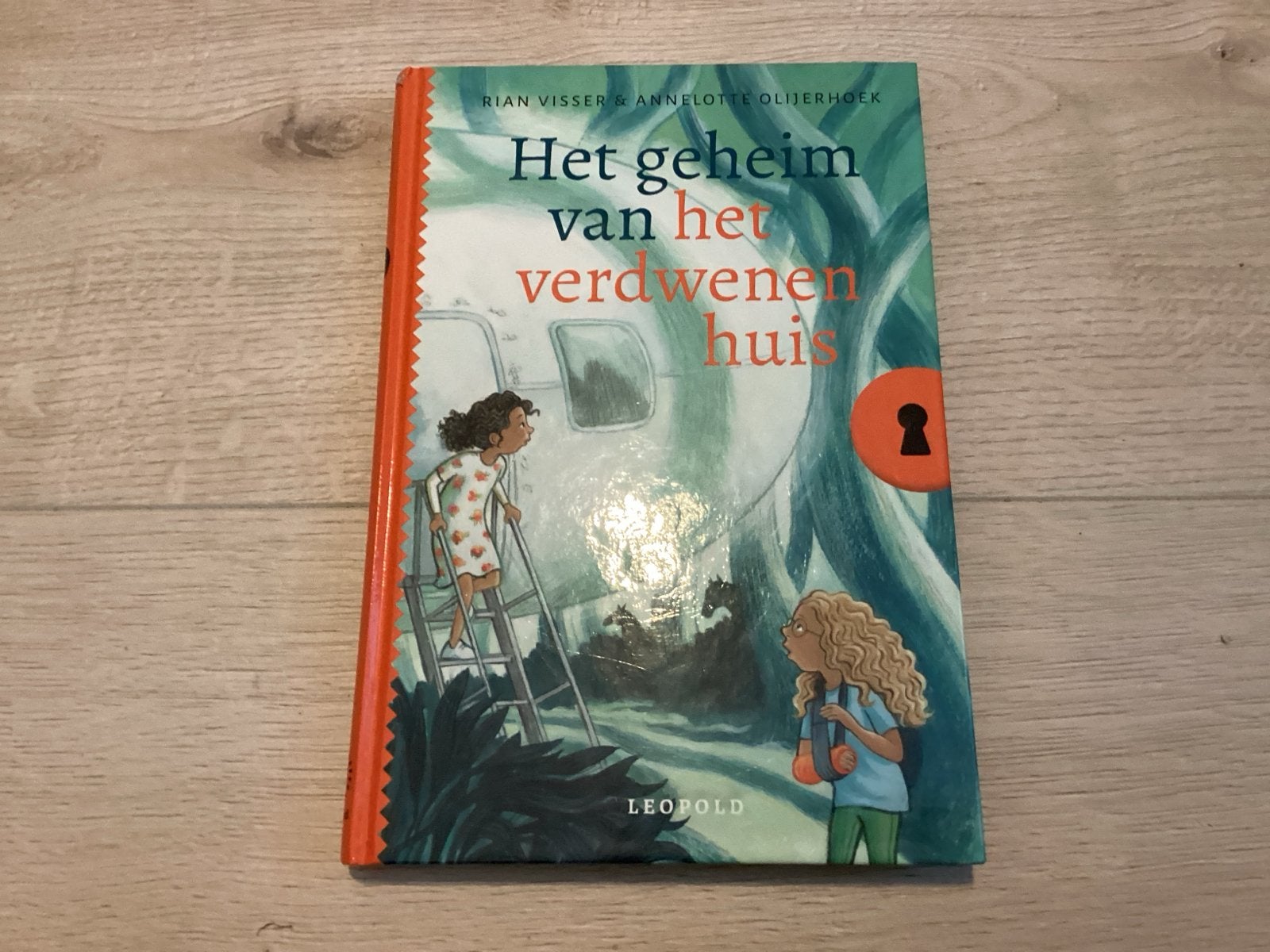 Het geheim van het verdwenen huis - Rian Visser, Boeken, Ophalen of Verzenden, Zo goed als nieuw, Fictie algemeen