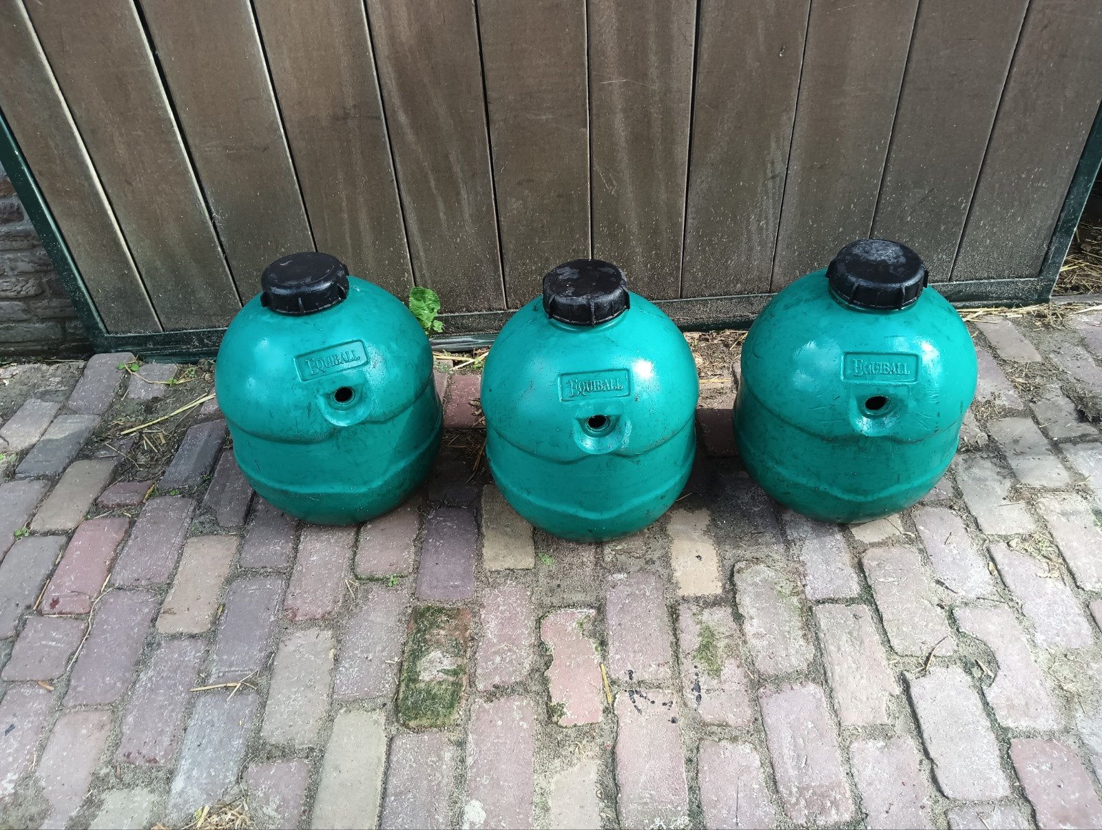 paarden speel ball/voerton, Ophalen