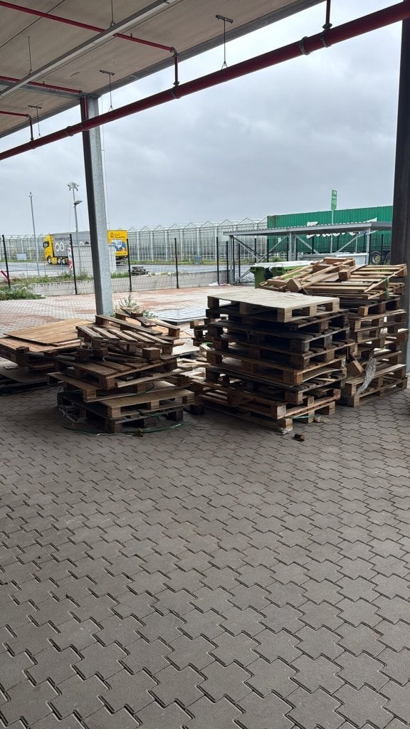 Gebruikte pallets en hout voor diverse projecten, Ophalen, Gebruikt, Minder dan 25 mm, Pallet