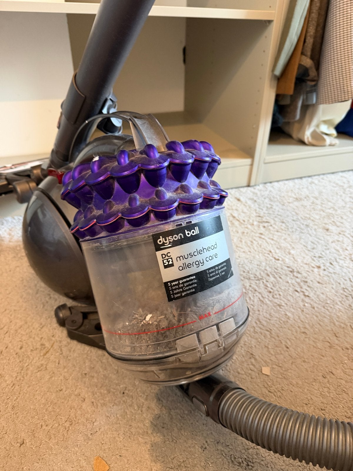 Dyson Ball DC52 Musclehead Allergy Care Stofzuiger, Witgoed en Apparatuur, Stofzuigers, Ophalen, Gebruikt, Dyson, Reservoir