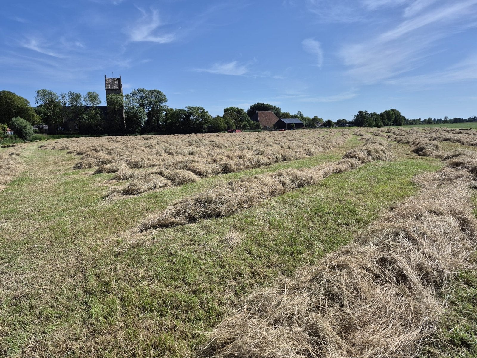 Biologische hooi van onbemest land, Ophalen