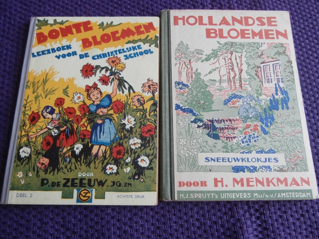 antiek schoolboeken Bonte Bloemen Hollandse Bloemen Menkman, Antiek en Kunst, Antiek | Boeken en Bijbels, Ophalen of Verzenden