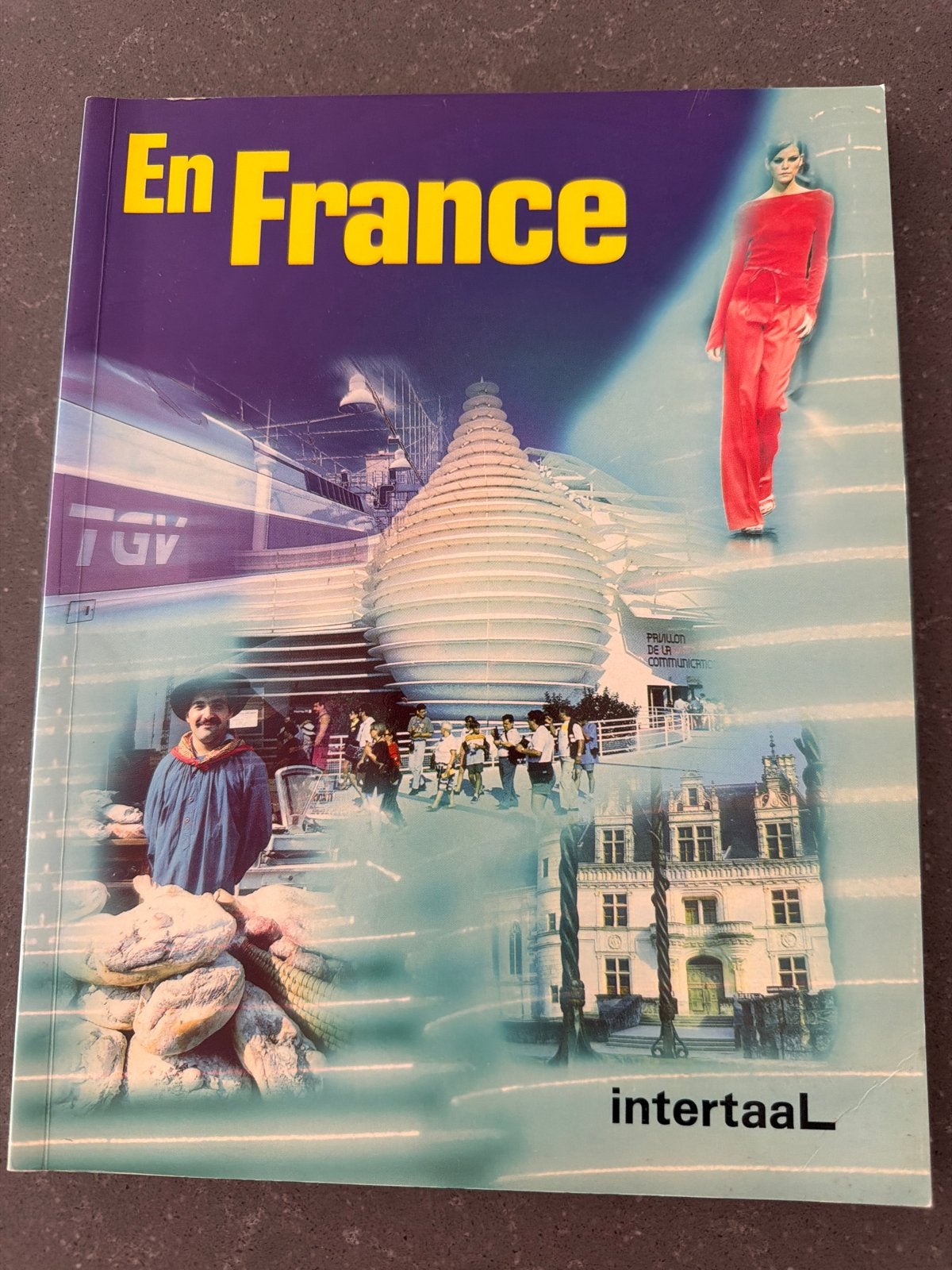 En France - Intertaal (Frans), Boeken, Ophalen of Verzenden, Gelezen, Non-fictie