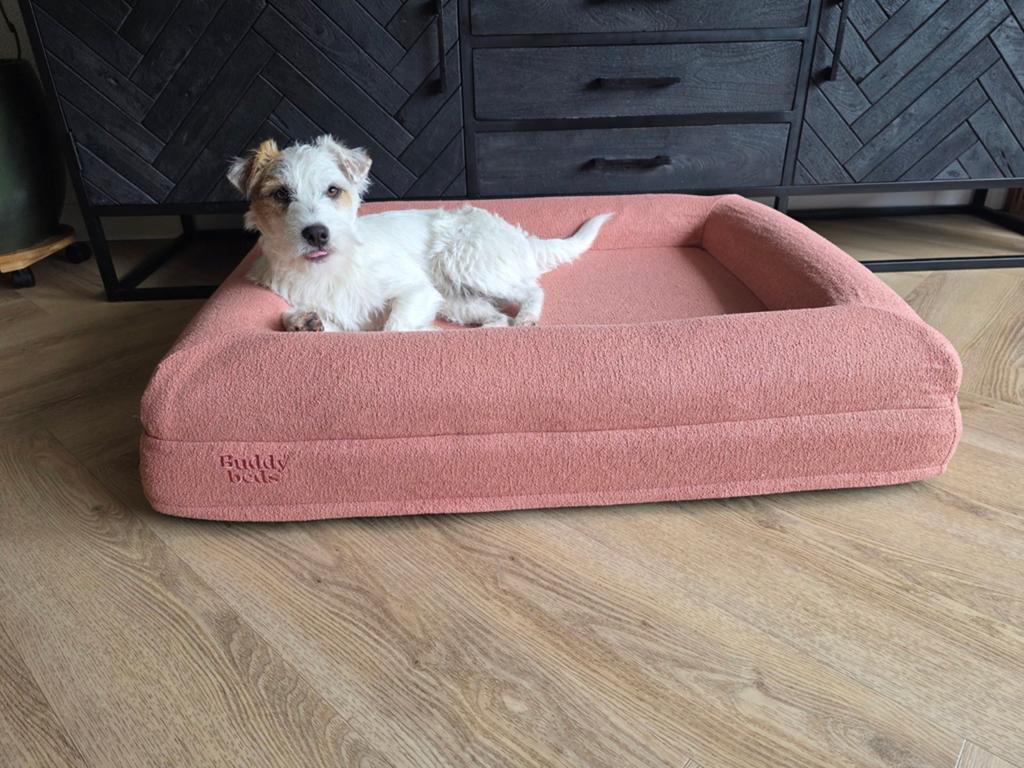 Buddybeds met 2 hoezen, orthopedisch hondenkussen maat M, Ophalen