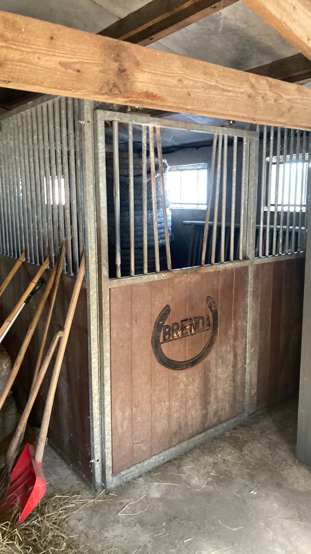 Paarden box