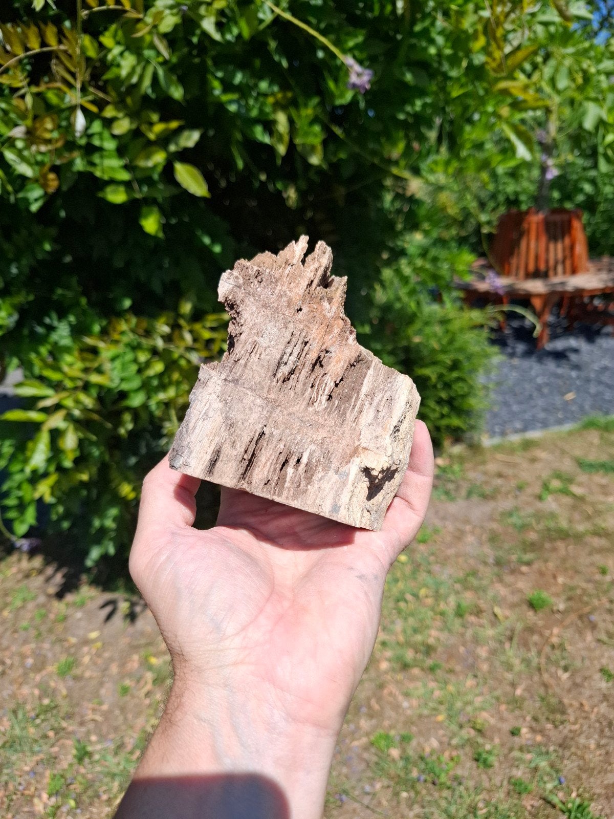 Versteend hout met kwarts kristallen, Verzamelen, Ophalen of Verzenden, Mineraal