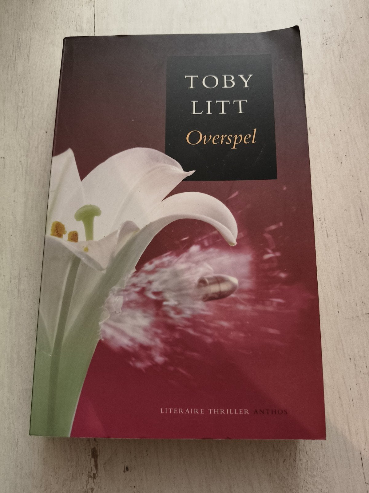 Overspel - Toby Litt (Literaire thriller), Ophalen of Verzenden, Gelezen, Toby Litt