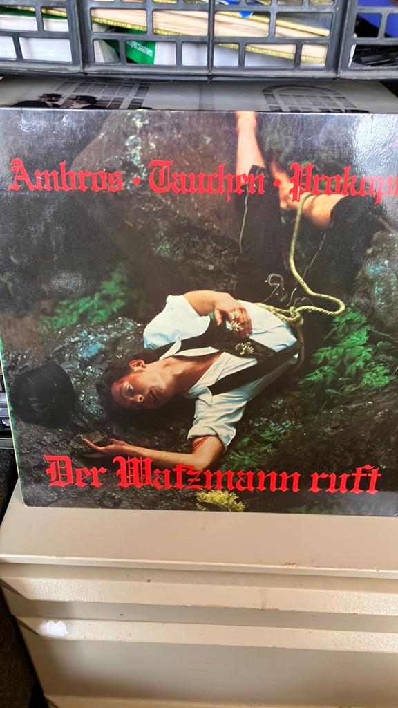 Ambros Duits talig leuk gedaan, Cd's en Dvd's, Vinyl | Overige Vinyl, Ophalen of Verzenden, Zo goed als nieuw, 12 inch