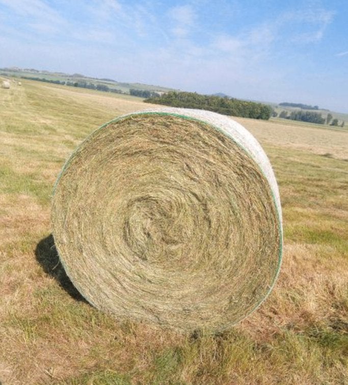 Hooibalen ronde balen, Ophalen, Vee