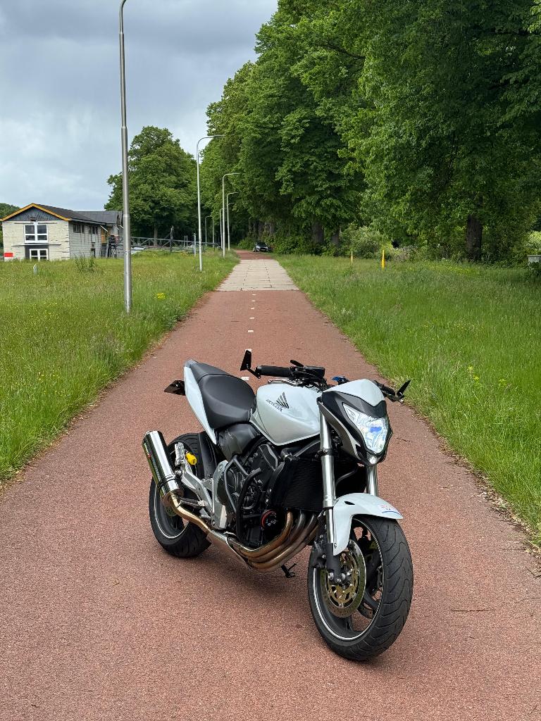 Honda CB 600 F Hornet | Bomvol | Quickshifter | A2 (vol pk), Motoren, 4 cilinders, Gebruikt, Particulier, Minimaal motorrijbewijs A2
