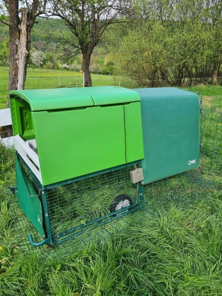 Omlet Eglu Cube – Verrijdbaar kippenhok voor 4–6 kippen (ges, Dieren en Toebehoren, Verzenden, Nieuw