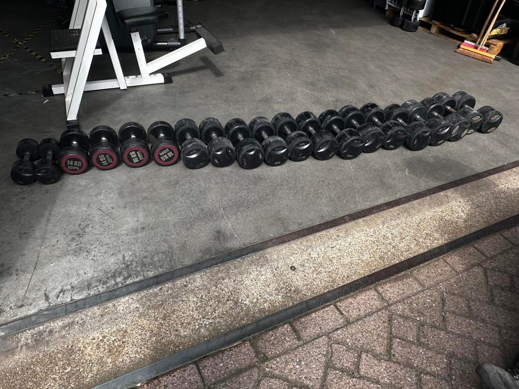 Lifemaxx Vaste Dumbells 9kg t/m 34kg, Ophalen, Gebruikt, Dumbbell