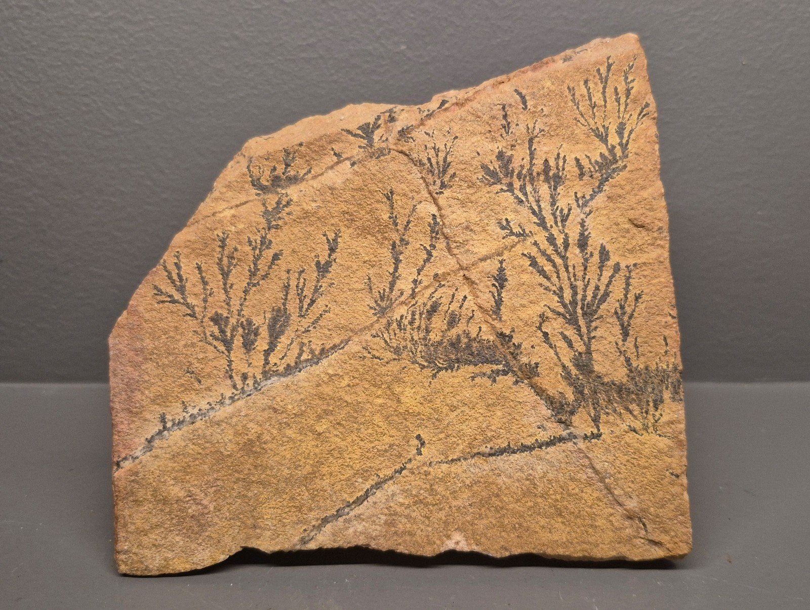 Dendritische Steen - Natuurlijke Kunst (14 x 13 CM), Verzamelen, Ophalen of Verzenden, Mineraal