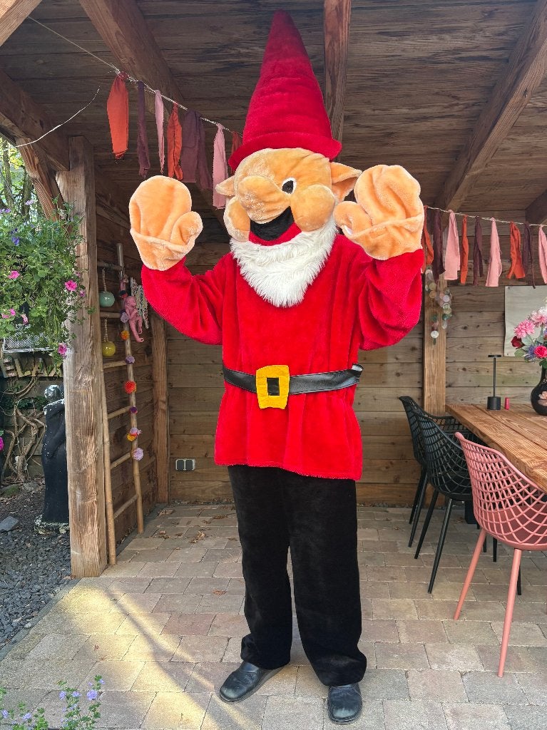 Feestje? Laat een leuke mascotte kabouter voorbijkomen enz, Ophalen of Verzenden, Zo goed als nieuw, Overige