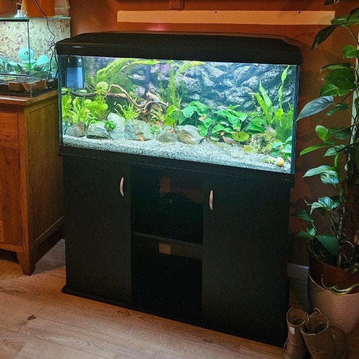 Aquarium 220 liter compleet, Ophalen, Zo goed als nieuw, Gevuld zoetwateraquarium