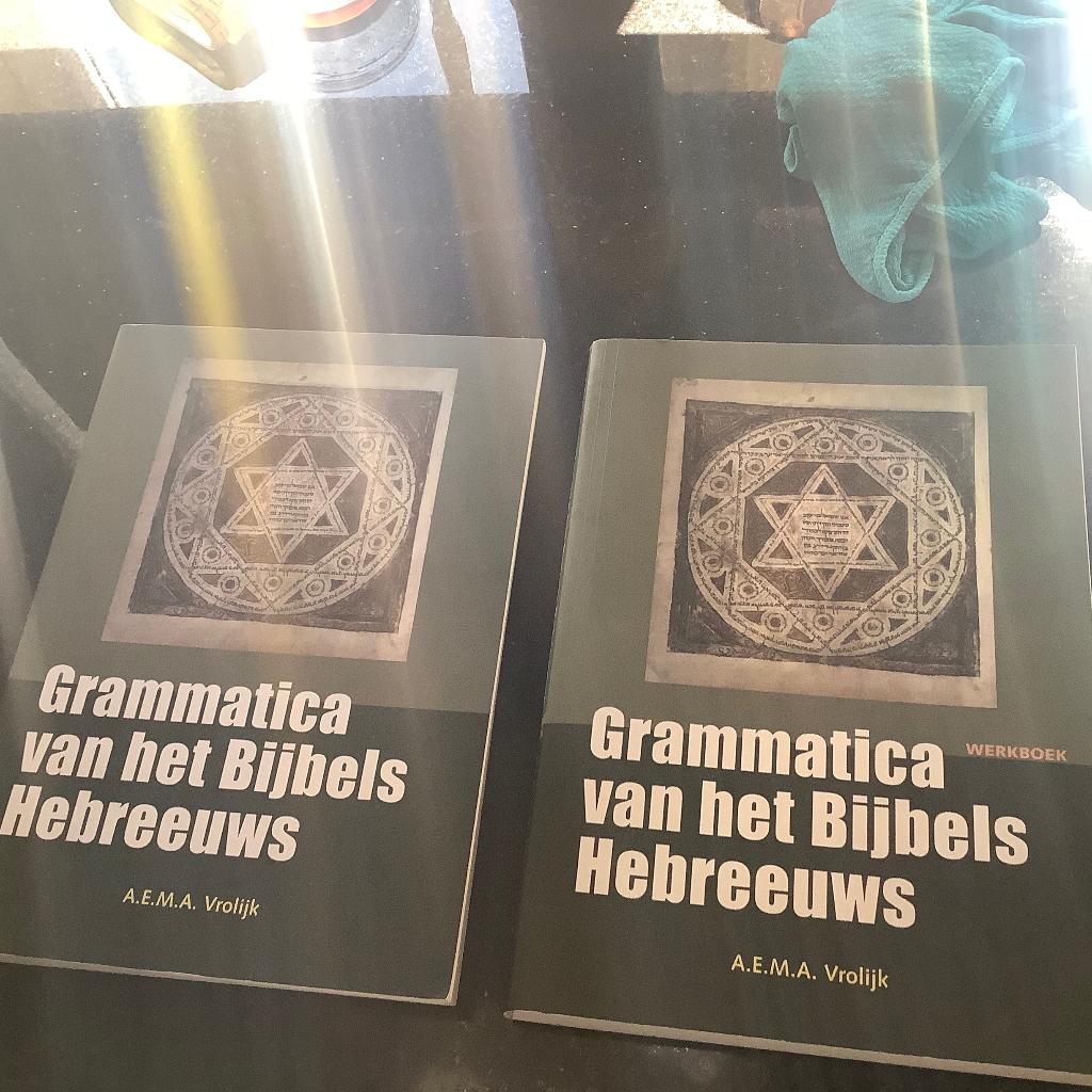 Grammatica van het  bijbels Hebreeuws, Boeken, Ophalen of Verzenden, Nieuw, Vrolijk.