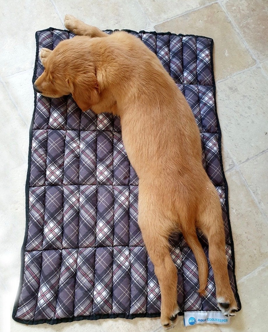 KOELMAT DIE HOND OF KAT VERKOELT - XL, Dieren en Toebehoren, Ophalen of Verzenden, Gebruikt