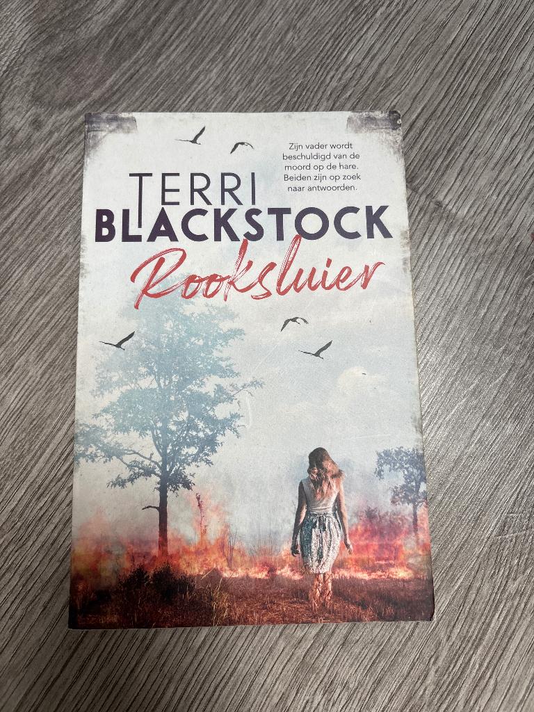 Rooksluier, Terri Blackstock, Ophalen of Verzenden, Gelezen, Terri Blackstock, Nederland